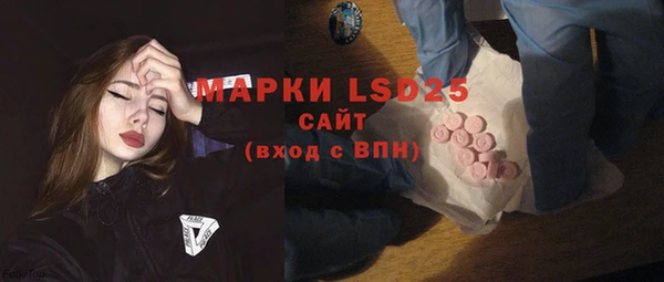 хмурый Нея